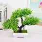 PLANTES ARTIFICIELLE BONSAI VERT - THT